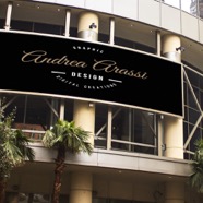 Andrea002520CurvedBillboard.jpg