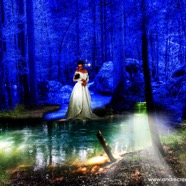 Lonely002520Bride.jpg