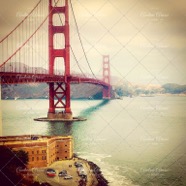 IMG_1372 copy.jpg