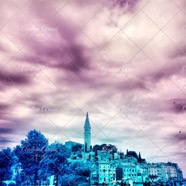 IMG_2332 copy.jpg