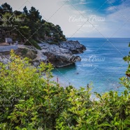 IMG_3936 copy.jpg