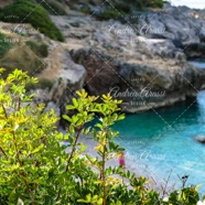 IMG_3937 copy.jpg