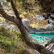 IMG_3939 copy.jpg