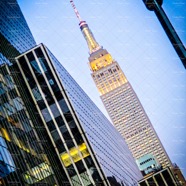 IMG_1814-2 copy.jpg