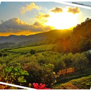 The002520Hill_web.jpg