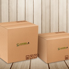 Free Carton Delivery Packaging Box Logo Mockup.jpg